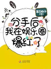 分手后我在娱乐圈爆红了封面