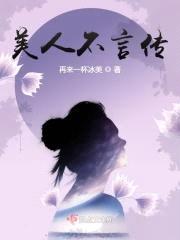美人不言传封面