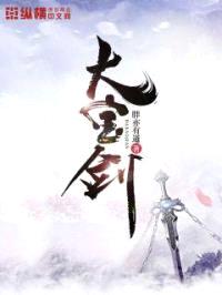 大宝剑封面