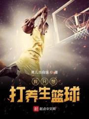 我只想打养生篮球封面