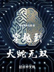 穿越到大蛇无双封面