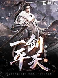 一剑平天封面