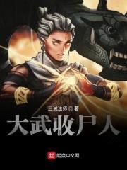 大武收尸人封面