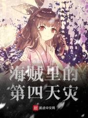 海贼里的第四天灾封面