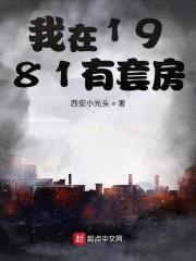 我在1981有套房封面