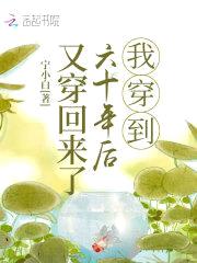我穿到六十年后又穿回来了封面