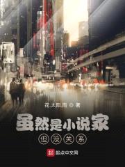 虽然是小说家但没关系封面