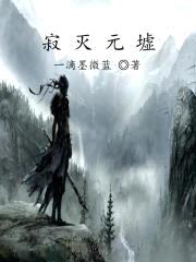 寂灭元墟封面