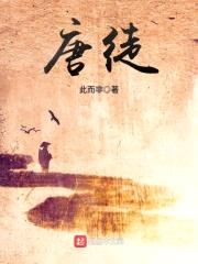 唐徒封面