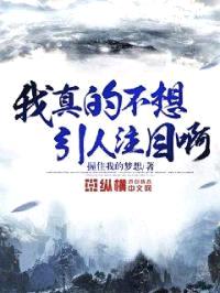 我真的不想引人注目啊封面