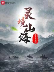 灵境山海封面