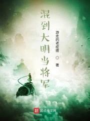 大明福将封面