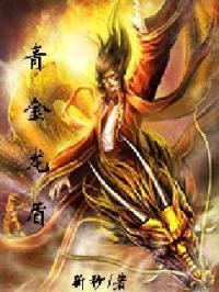 青金龙盾封面