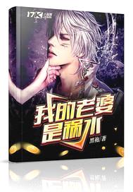 我的老婆是祸水封面