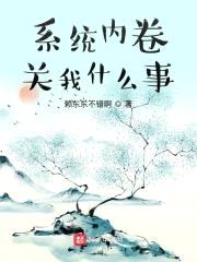系统内卷关我什么事封面
