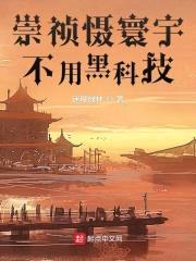 崇祯慑寰宇，不用黑科技封面