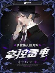 从霍格沃兹开始掌控雷电封面