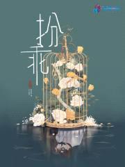 扮乖封面