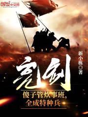 亮剑：傻子管炊事班，全成特种兵封面