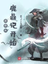 武侠从鹿鼎记开始封面