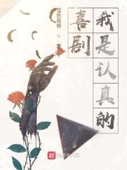 喜剧我是认真的封面