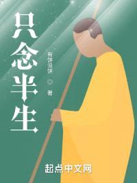 只念半生封面