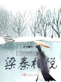 王妃她想出走之梁秦相悦封面