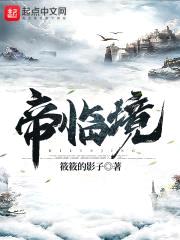 帝临境封面