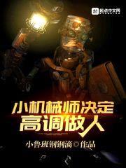 小机械师决定高调做人封面