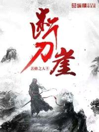 断刀崖封面