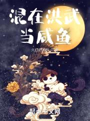 混在洪武当咸鱼封面