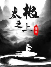太极之上封面