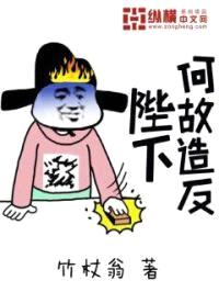 陛下何故造反封面