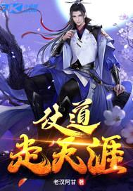 仗道走天涯封面