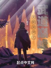 全职法师之武道巅峰封面