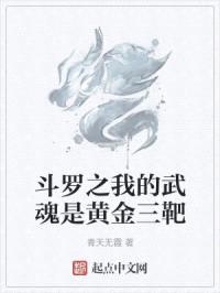 斗罗之我的武魂是黄金三靶封面