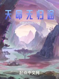 天命无归途封面