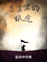 求真者的旅途封面