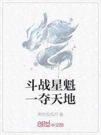 斗战星魁一夺天地封面