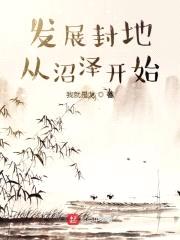 发展封地从沼泽开始封面