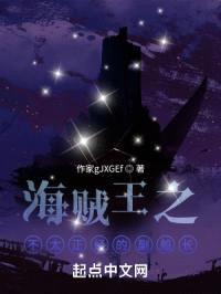 海贼王之不太正经的副船长封面