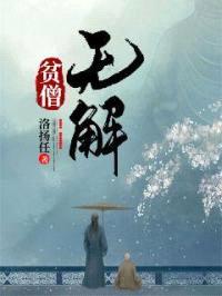 贫僧无解封面