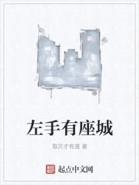 左手有座城封面