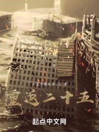 重返二十五封面