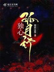 独心孤月行封面