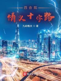 四合院：情义十字路封面