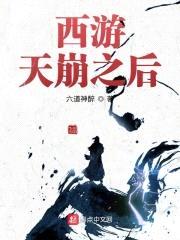 西游天崩之后封面