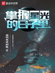 掌握星光的日子里封面