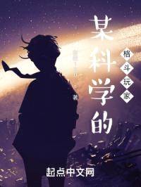 某科学的格斗玩家封面