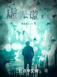 虚无谎言封面
